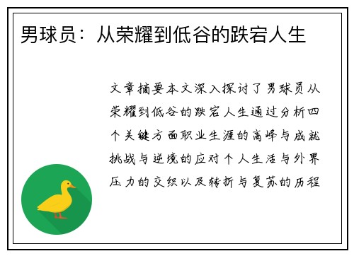 男球员：从荣耀到低谷的跌宕人生