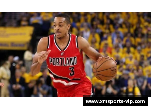 NBA球队数量变动及其对联盟格局的潜在影响