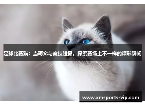足球比赛猫：当萌宠与竞技碰撞，探索赛场上不一样的精彩瞬间